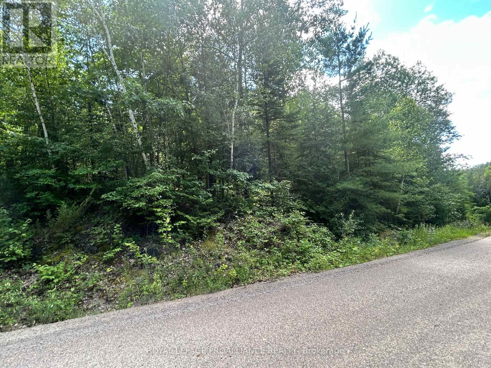 0 Trebbien Rd, Bonnechere Valley, ON K0J 1T0