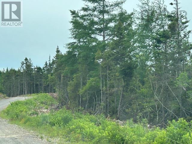 Salmon River Road, West Laposardoise, NS B0E 1S0