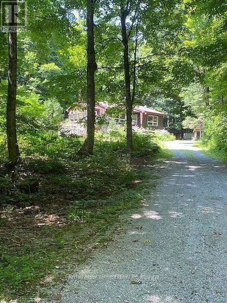 119 Acorn Rd, Kawartha Lakes Norland, ON K0M 3L0
