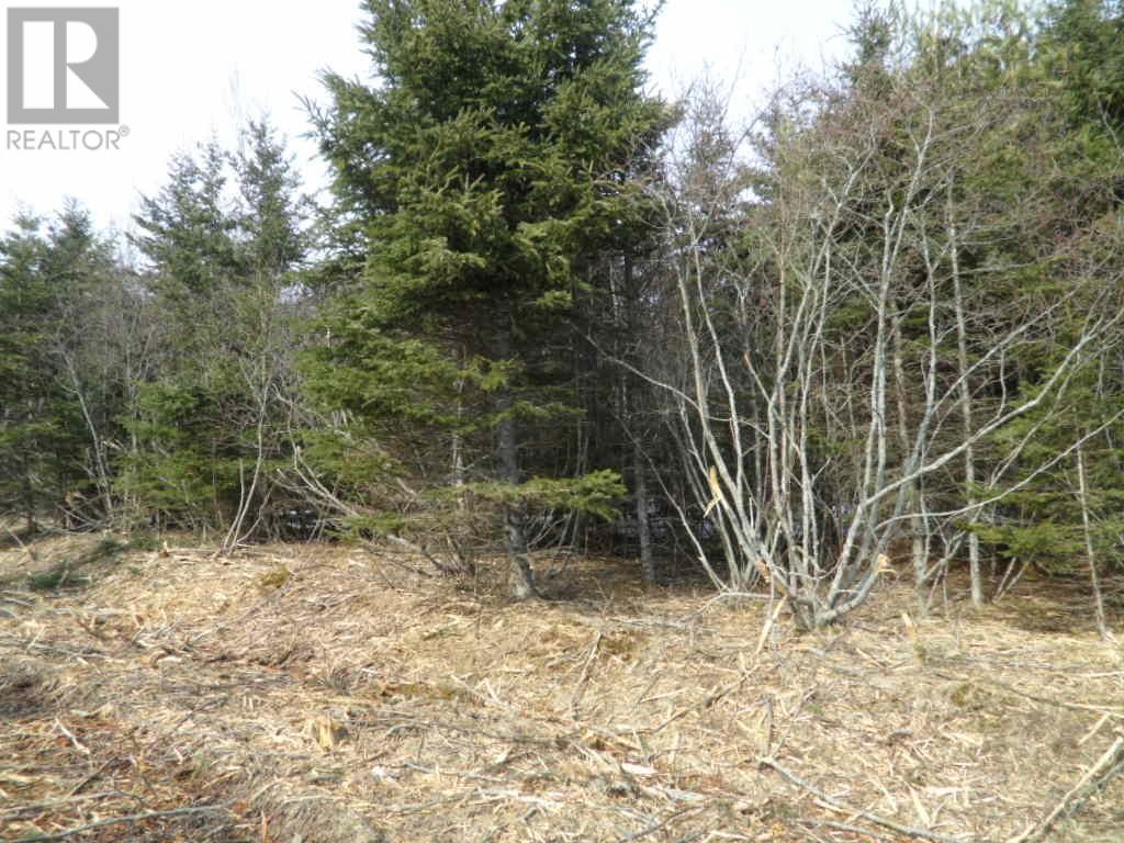1 Highway 224 #v, Elmsvale, NS B0N 1X0
