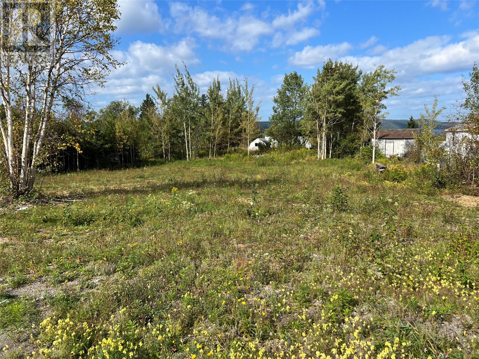 1 Hopkins Rd, South Brook, NL A0J 1S0