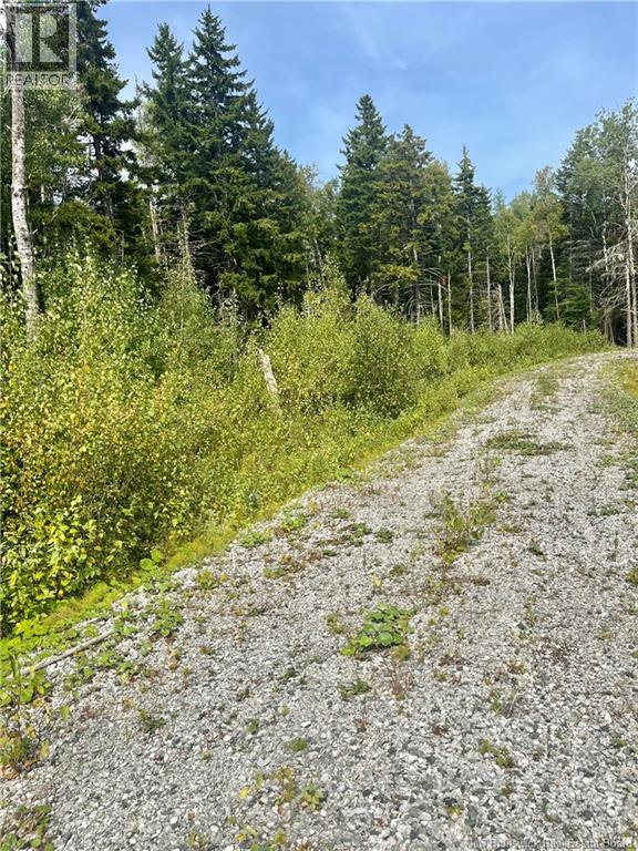 96 Hilltop Dr, Hampton, NB E5N 5P2