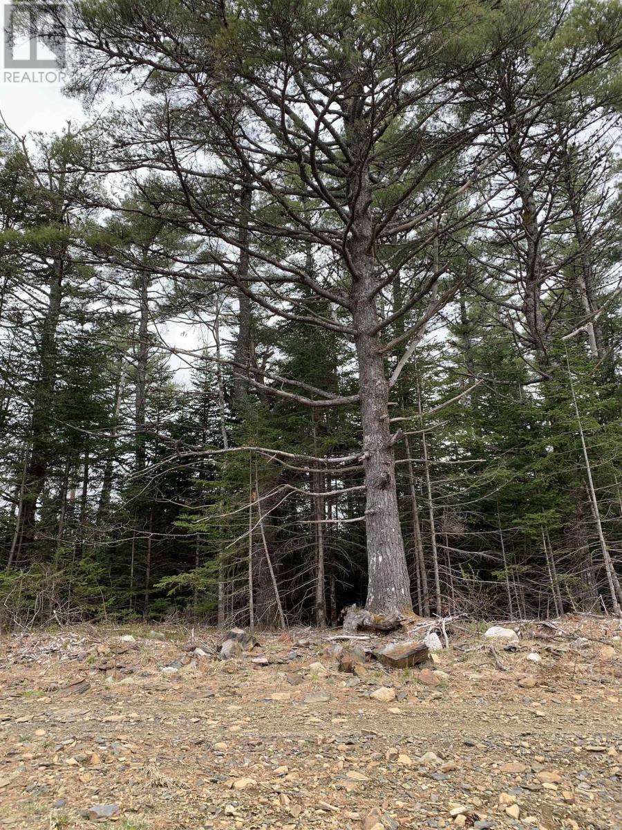 No 103 Highway, Western Shore, NS B0J 3M0