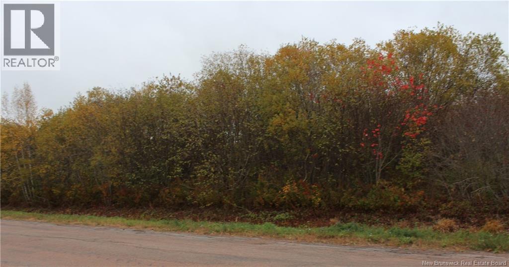 2 Kinnear Road #87, Cormier Village, NB E4P 5X8