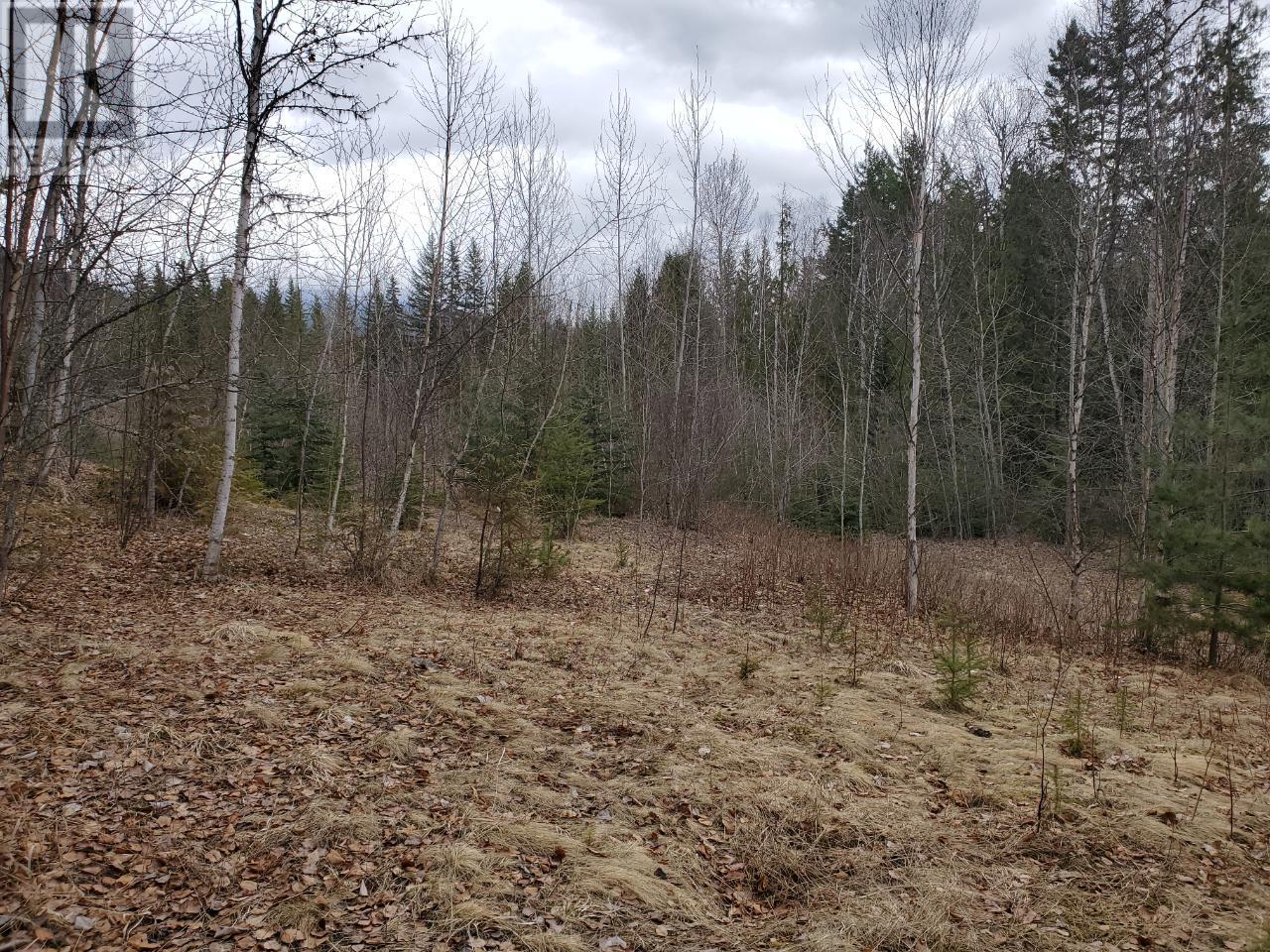 657 Hoirup Rd, Clearwater, BC V0E 1N1