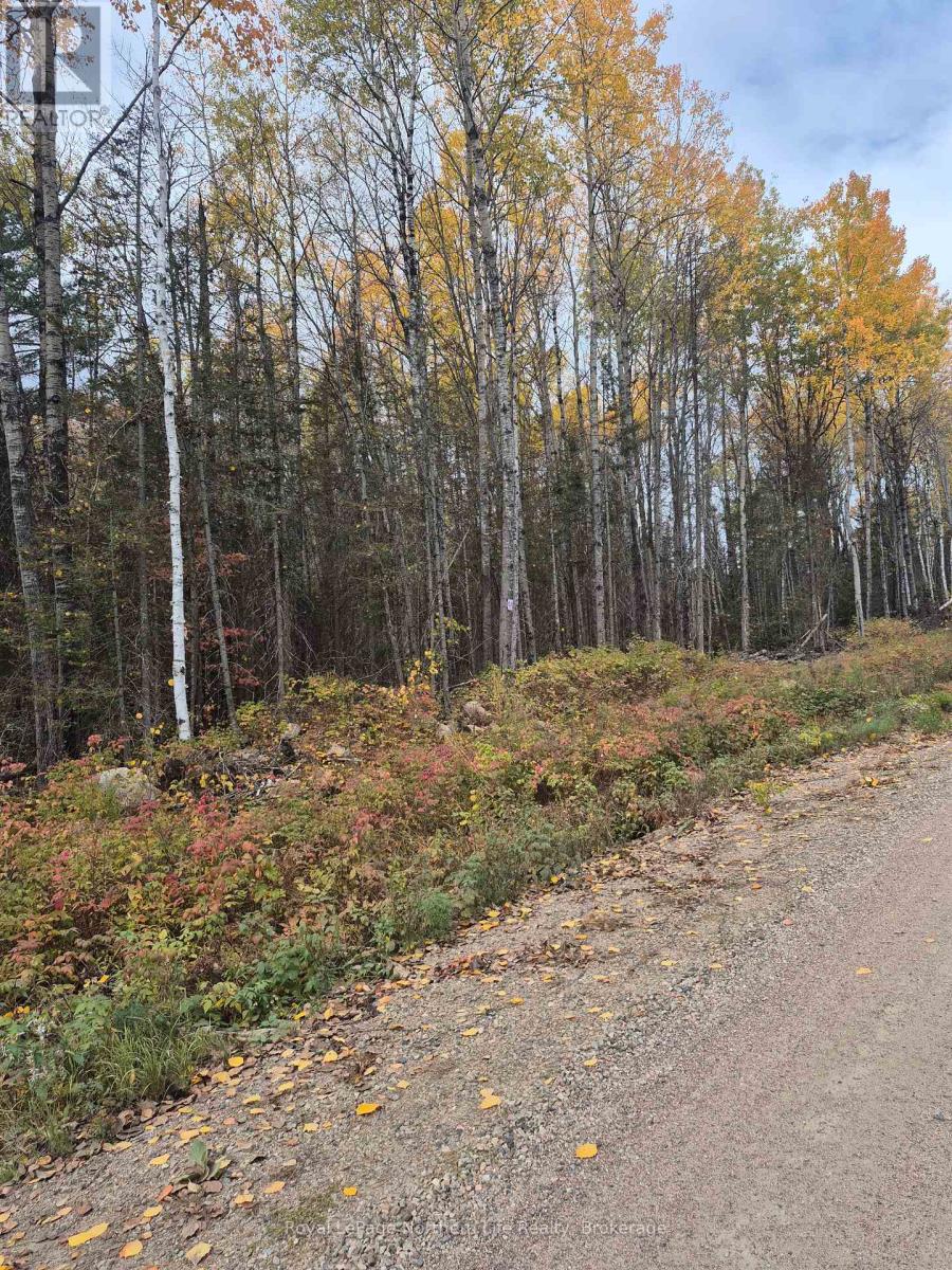 Pt Lot 1 Con 9 Archambeault Road, Papineau-cameron Papineau Cameron, ON P0H 1V0