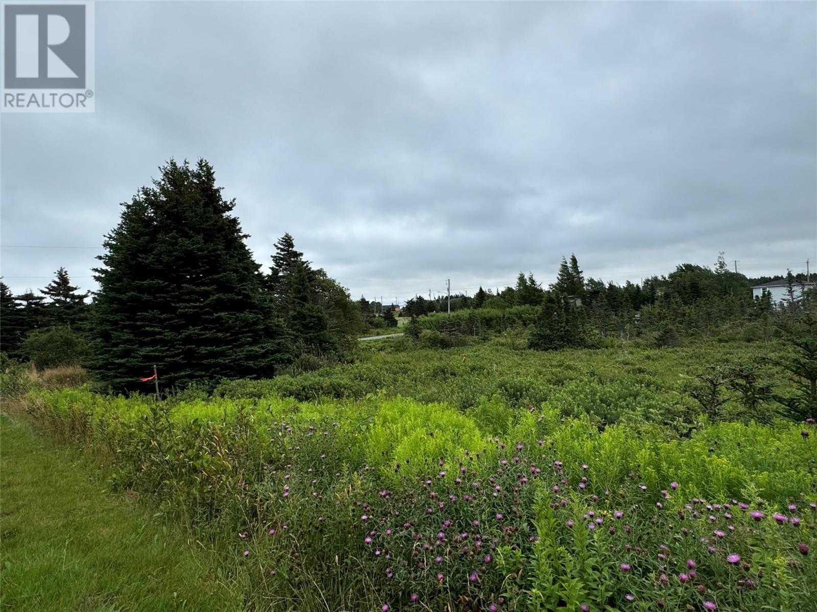 17 Crowes Ln, Torbay, NL A1K 1H5