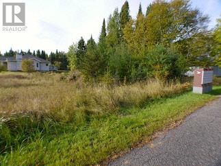 228 Sandy Beach Rd, Dryden, ON P8N 3J6