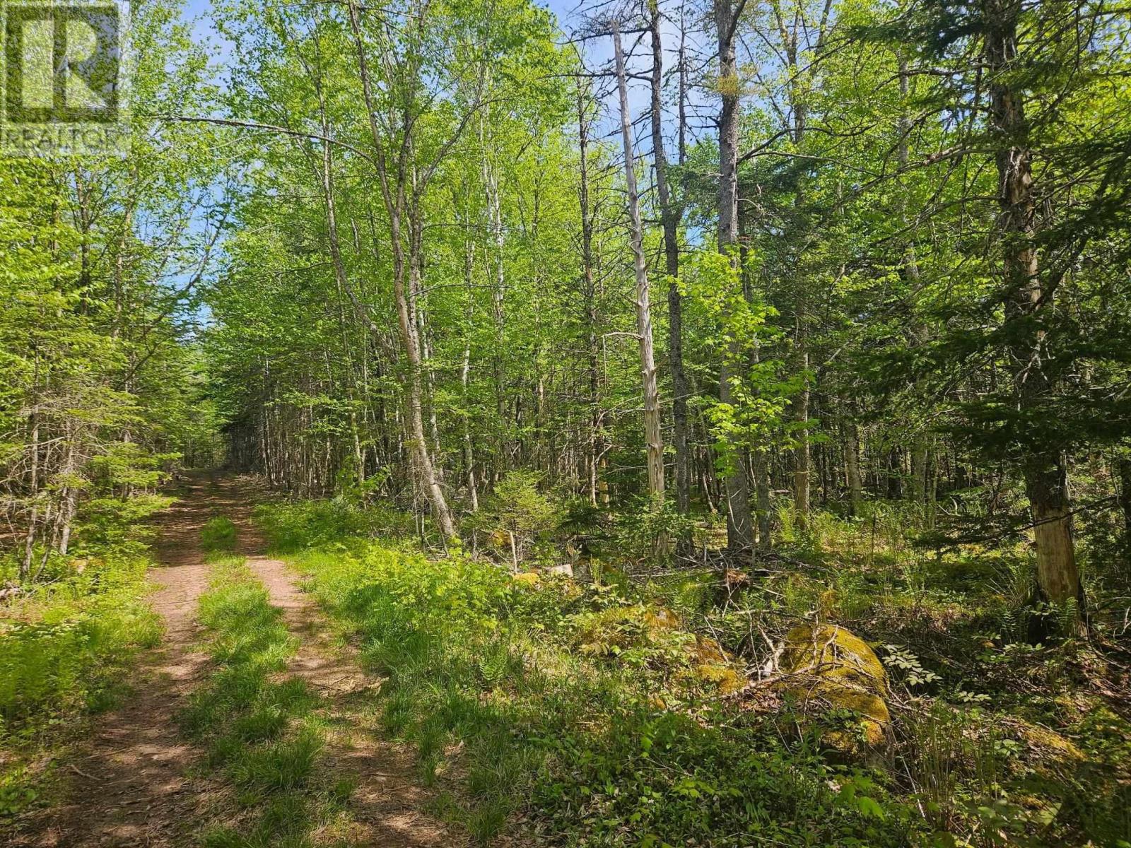 22 Maple Dr #a, New Russell, NS B0J 2M0
