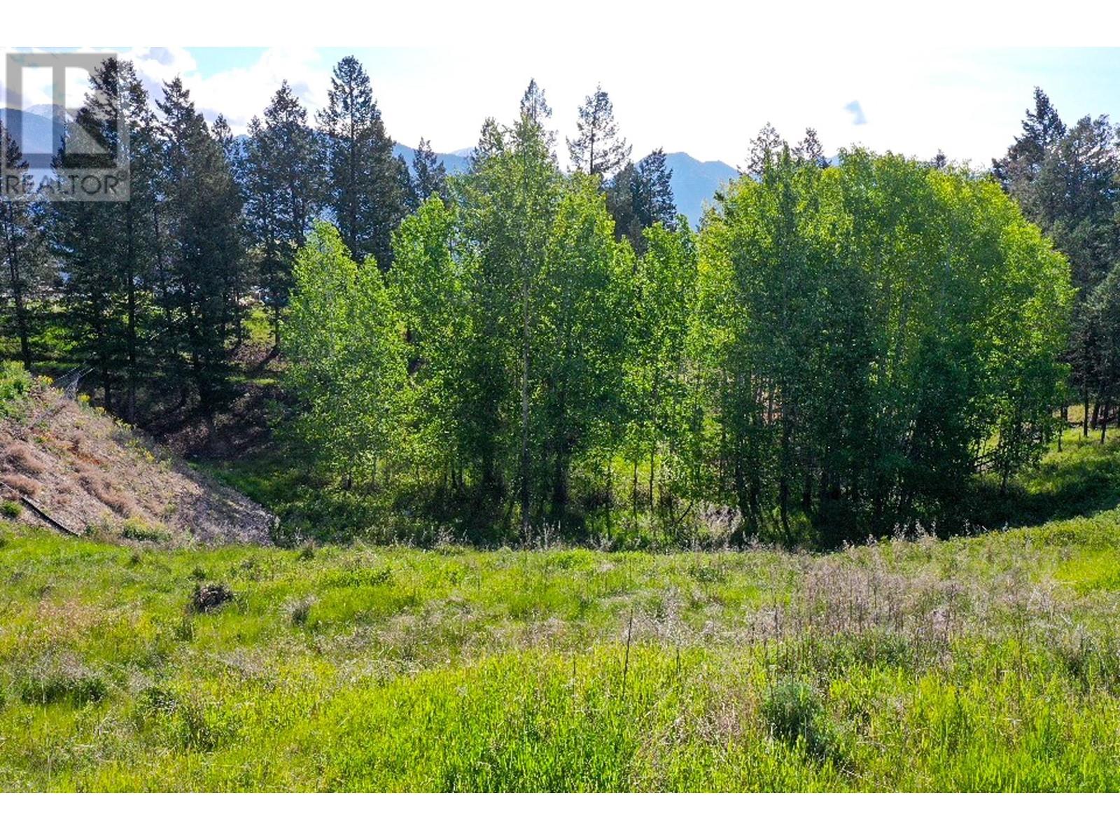 2161 Pinetree Pl, Invermere, BC V0A 1K4