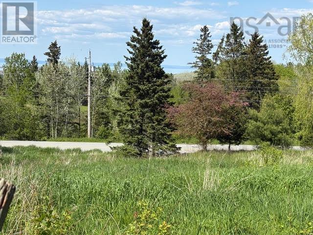 216 W Brooklyn Mtn, Wolfville, NS B4P 2R3