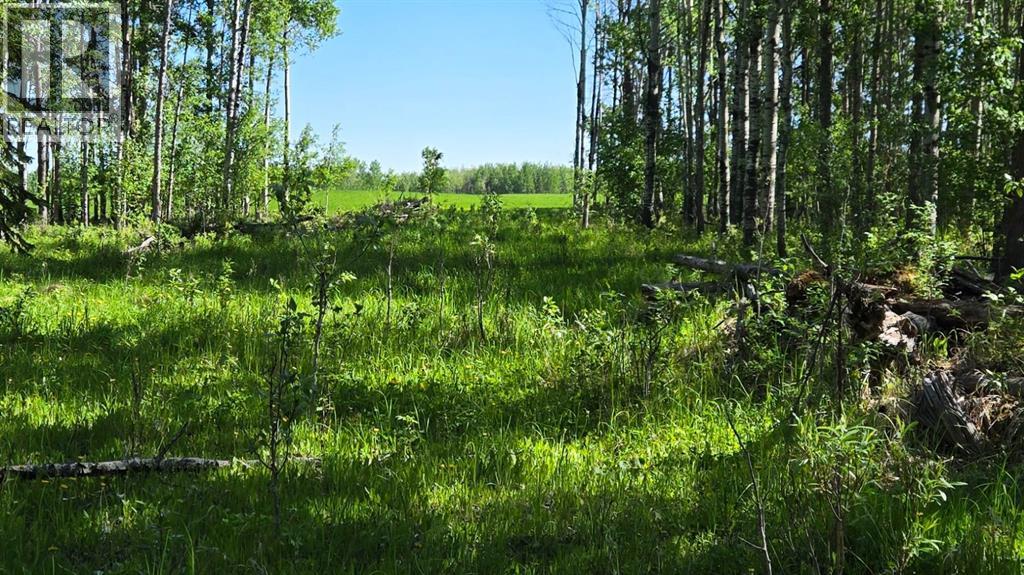 Highway 20, Rural Ponoka County, AB T0C 2X0