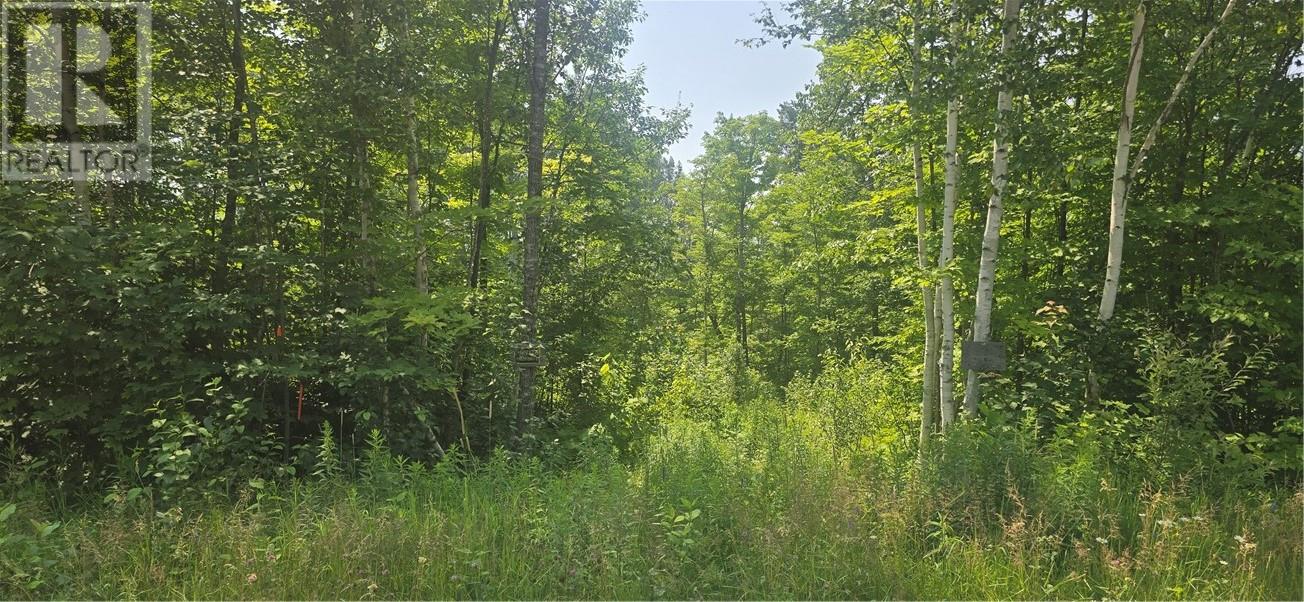 Tbd Forest Hill Road, Monetville, ON P0M 2K0