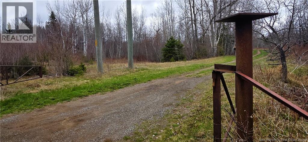 94 Acres Chemin Pallot, Inkerman, NB E8P 1B5