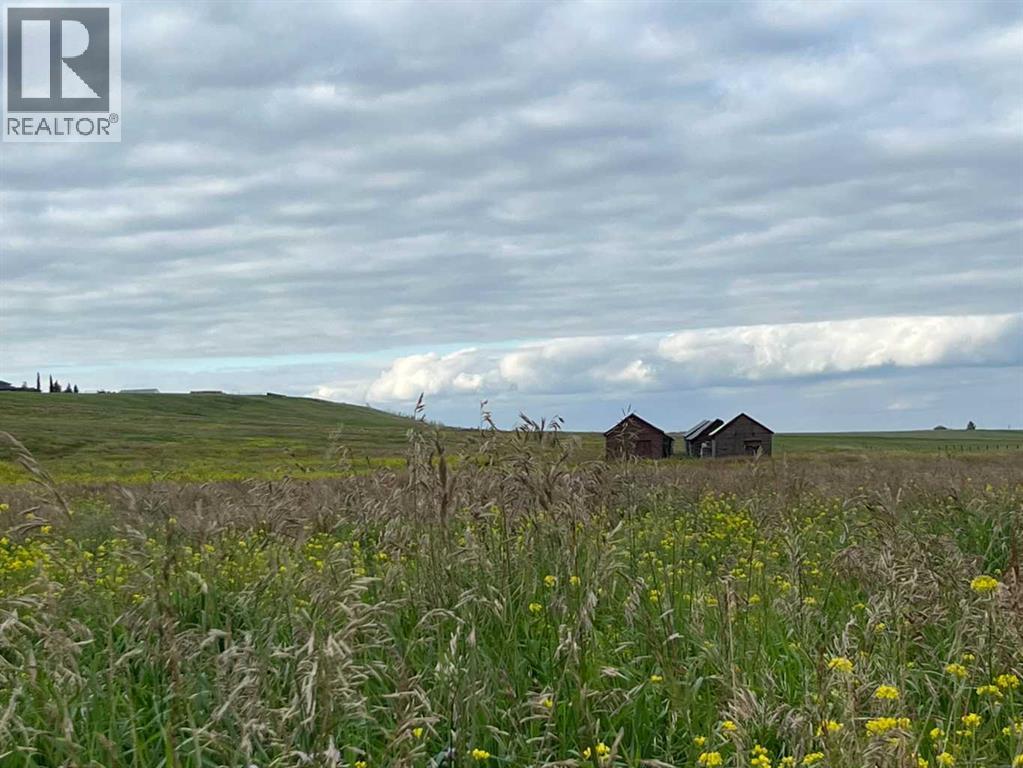 402 Avenue W, Rural Foothills County, AB T1S 2E4