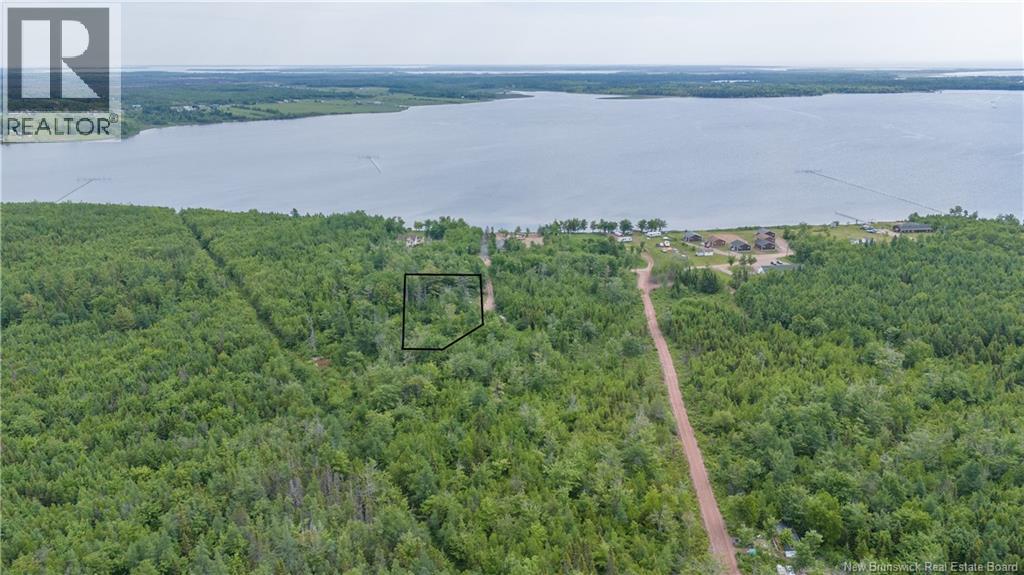 Lot 113 Route, Inkerman, NB E8P 1E2