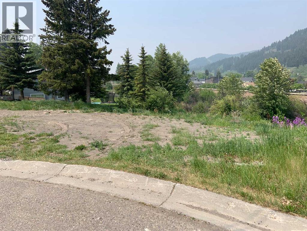 19 Avenue Unit 13537, Blairmore, AB T0K 0E0