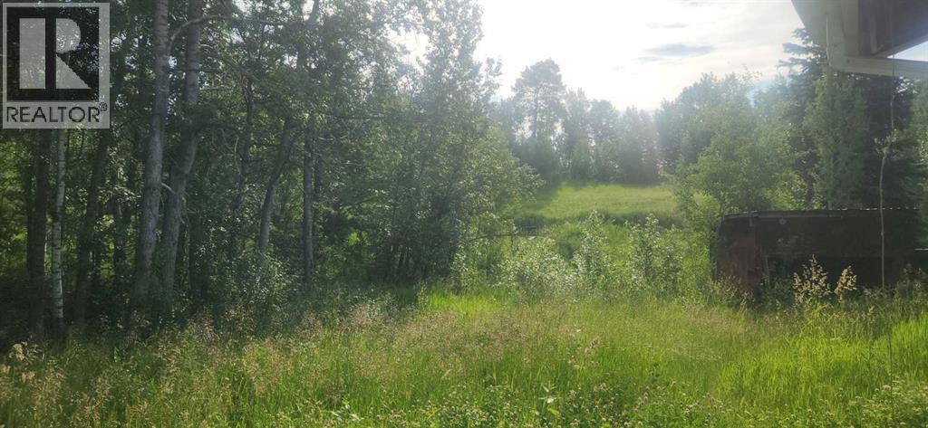 403065 Range Road 4-5 Rd, Rural Clearwater County, AB T0M 1H0