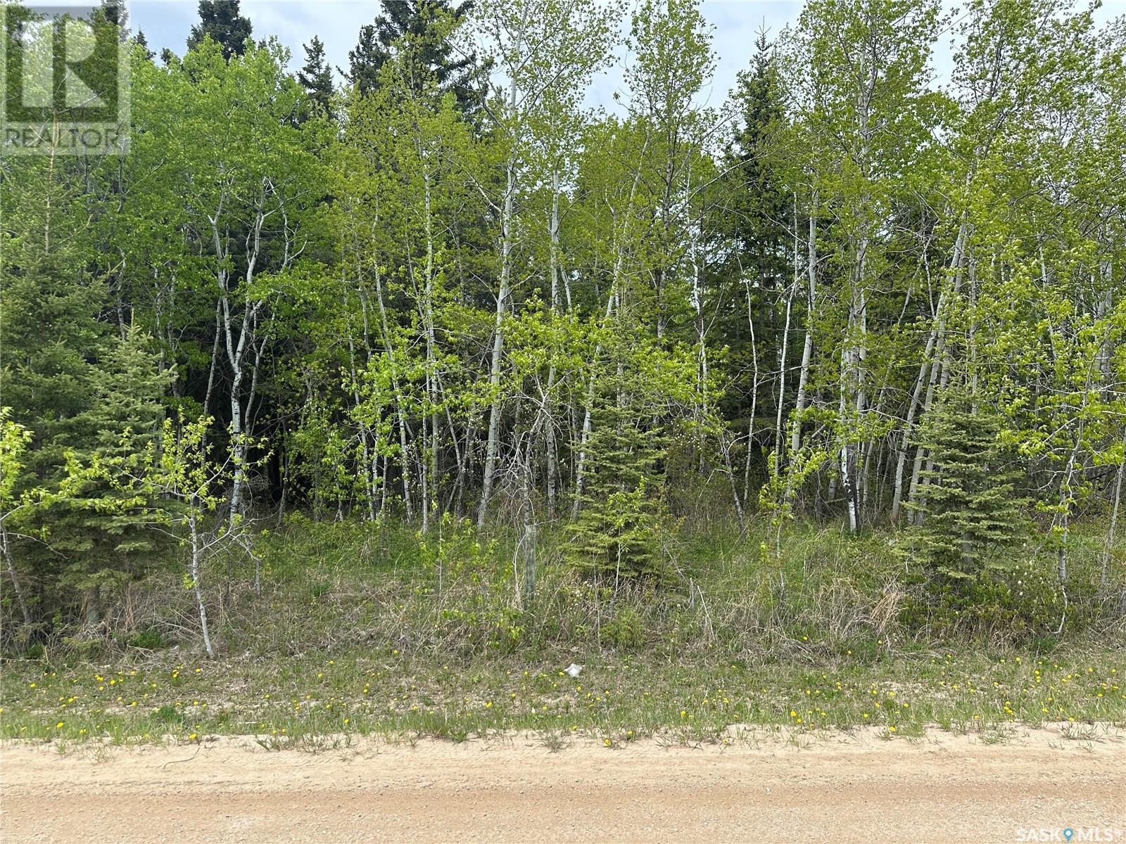3 George St, Big River, SK S0J 0E0