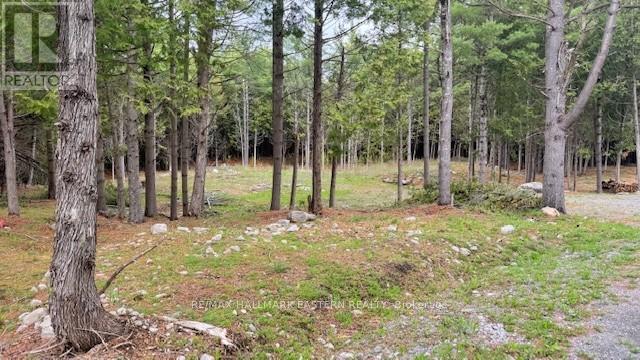 593 County Road 40, Douro-Dummer, ON K0L 2V0