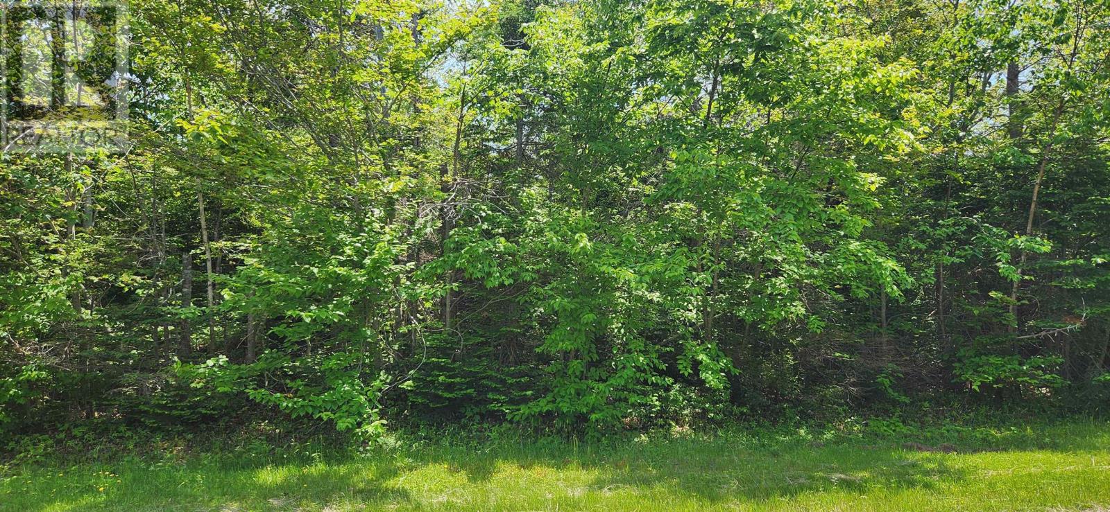 Acreage Greys Road, Wood Islands, PE C0A 1R0