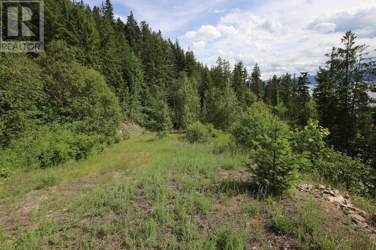 5959 Highway 23 Other, Nakusp, BC V0G 1R1
