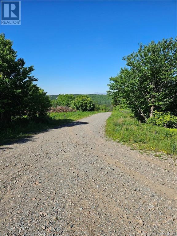 Dolly Drive, Saint John, NB E2J 3E9