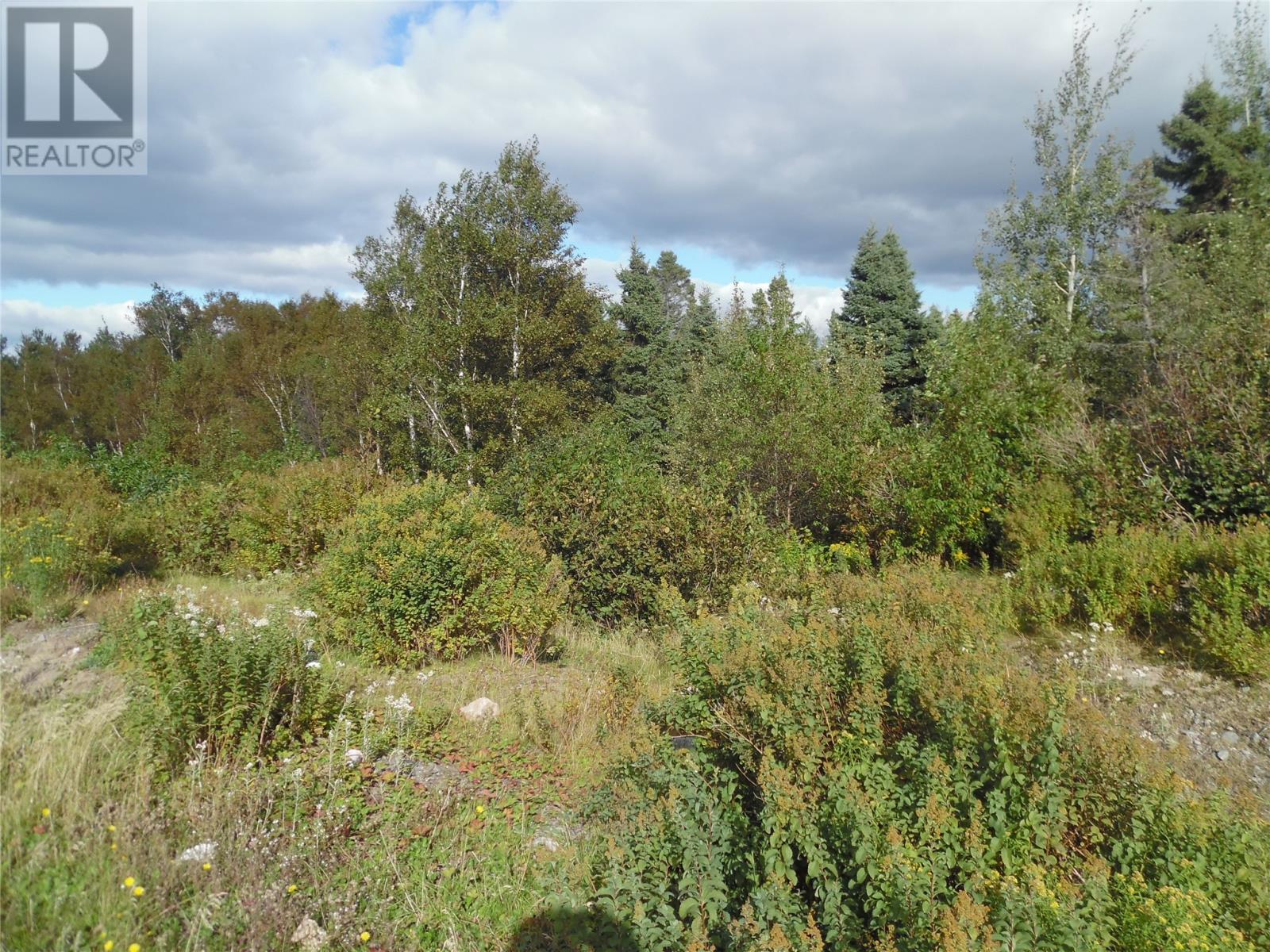 57 Legion Rd #a, Port Blandford, NL A0C 2G0