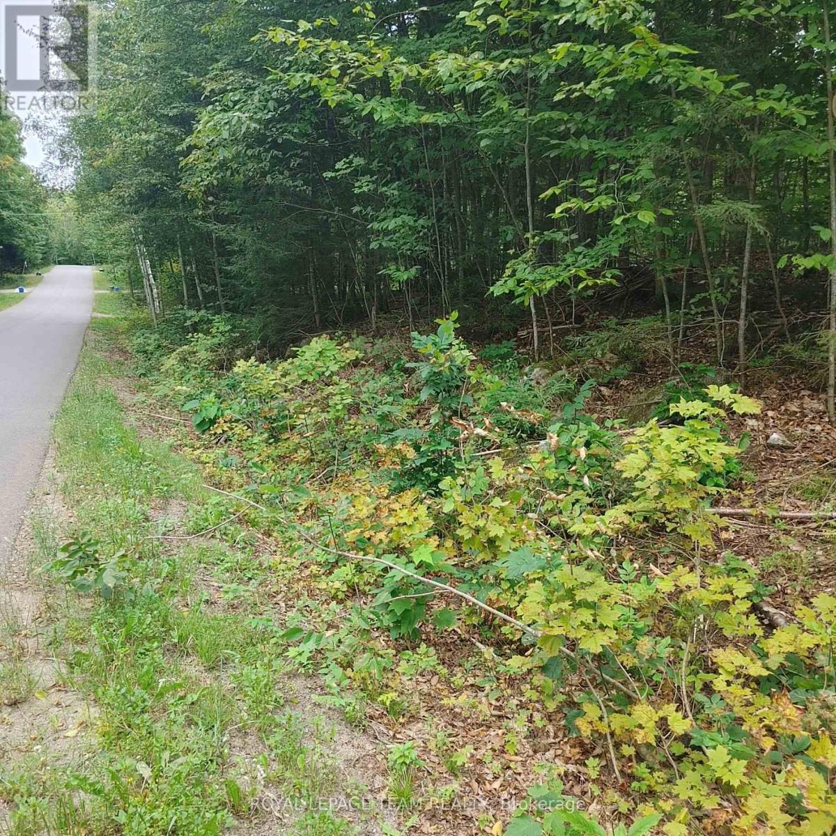 49 Lorlei Dr, Mcnabbraeside, ON K0A 3L0