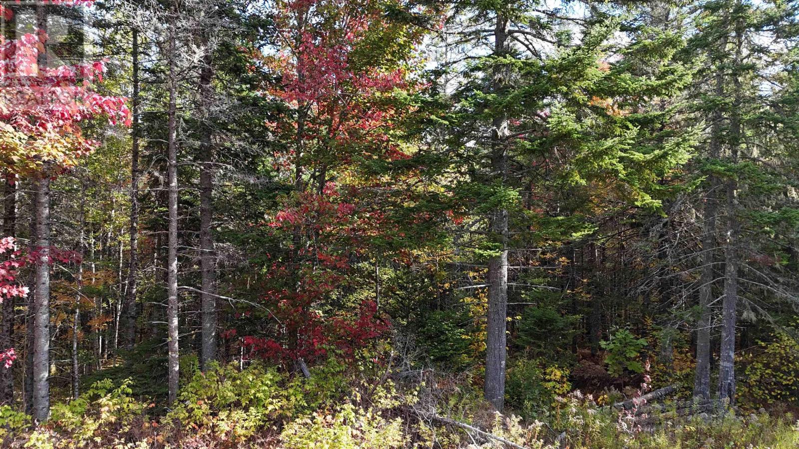 Lot Chesley Road, Barss Corner, NS B0R 1A0