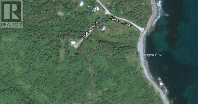 25-37 Mullowney's, Witless Bay, NL A0A 4K0