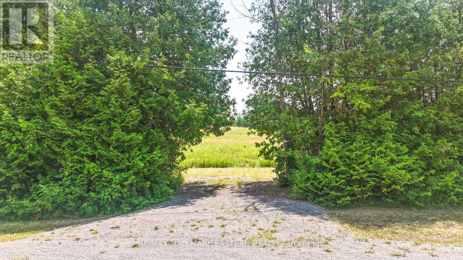 10 Old Norwood Road, Havelock-belmont-methuen Havelock, ON K0L 1Z0