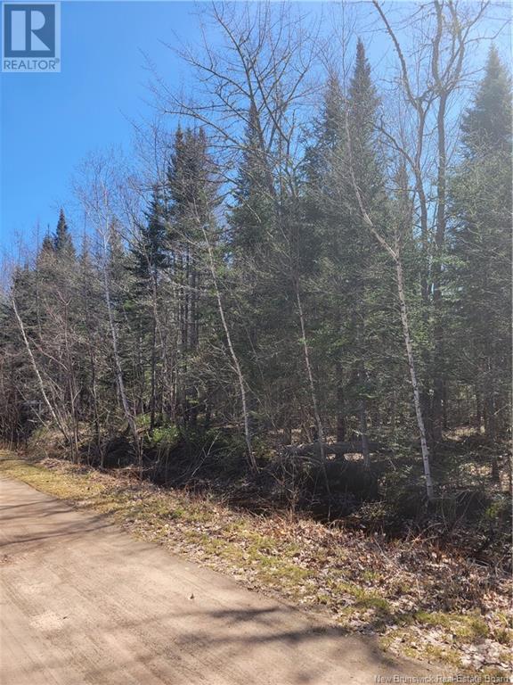 2 Hayesey Lane, Mill Cove, NB E4C 3G5