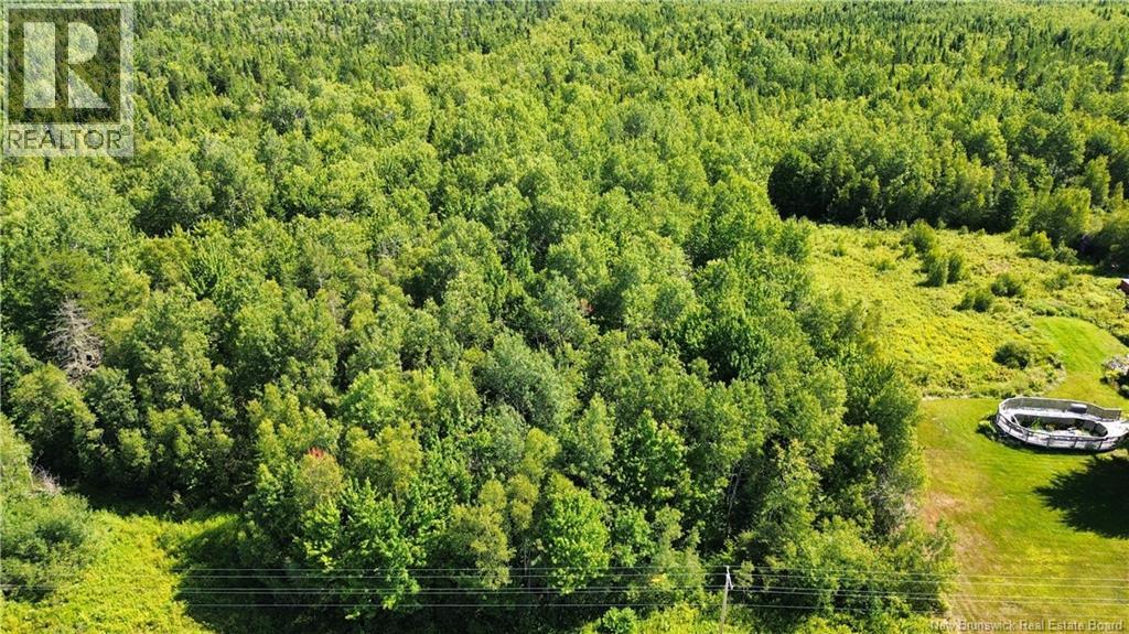 New Brunswick 126, Coal Branch, NB E4T 2J8