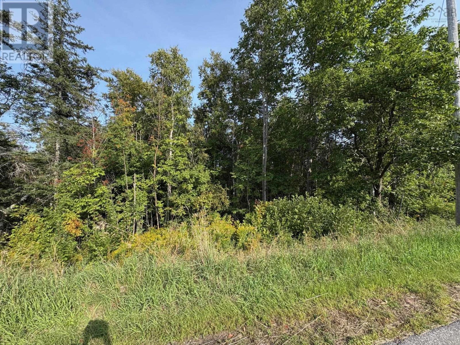 Thorburn Road, Thorburn, NS B0K 1W0