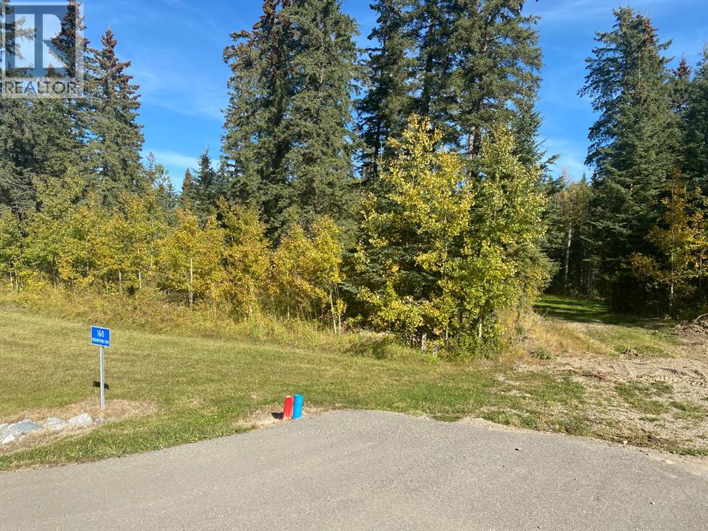 160 Meadow Ponds Dr, Rural Clearwater County, AB T4T 1A7
