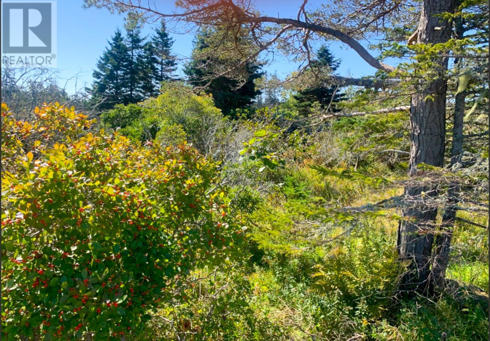 Lot Overton Road, South Chegoggin, NS B5A 5G8