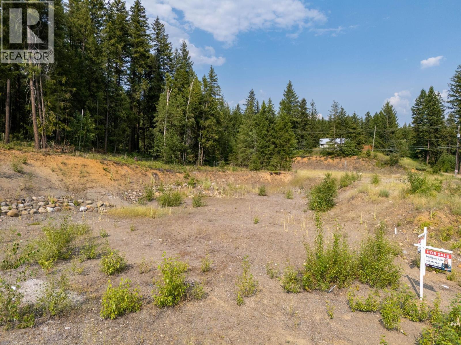 465 Lytton Cres, Clearwater, BC V0E 1N1