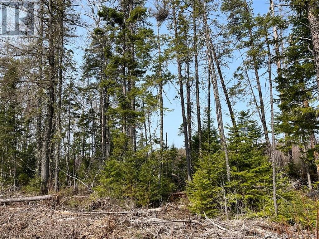 Beaverbrook Road, Miramichi, NB E1V 0H9