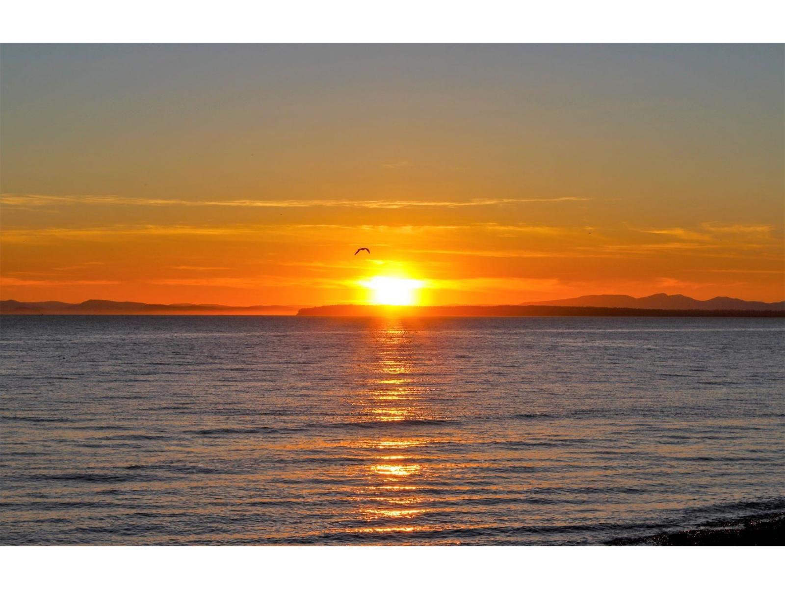 12585 15 Avenue #4, Surrey, BC V4A 1K1