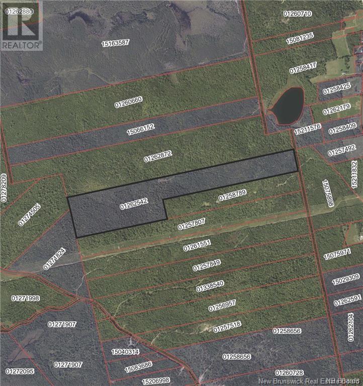 Lot Scotch Ridge Road, Hayman Hill, NB E3L 5A8
