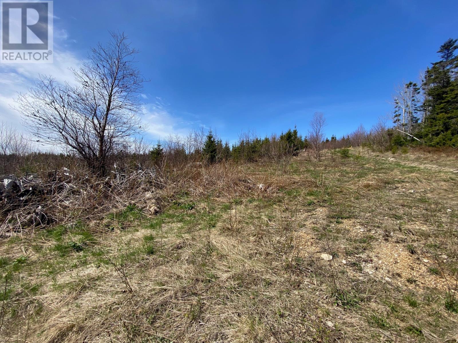 15 Brakes Ln, Meadows, NL A2H 6B9