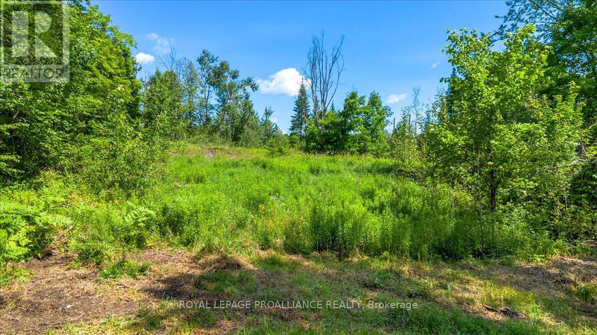 168 Limerick Lake Rd, Limerick, ON K0L 1W0