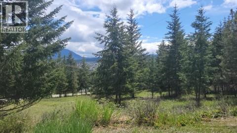 343 Cross Rd, Cranbrook, BC V1C 6W6