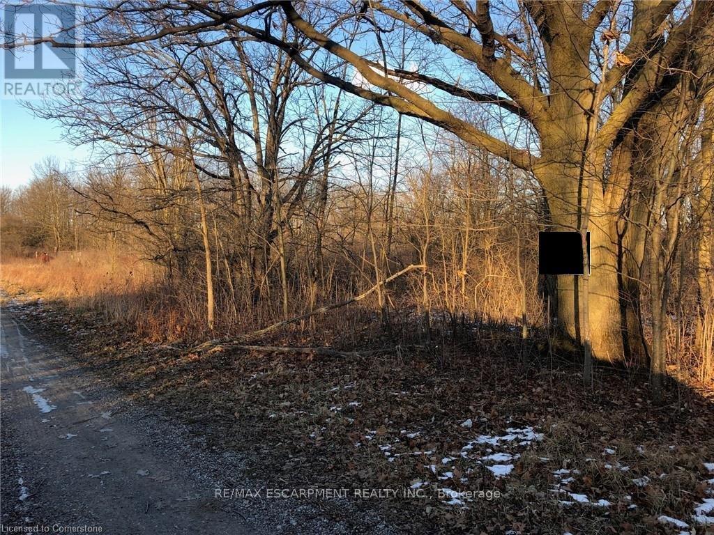 Lot 11 Halddunn Townline Road, Haldimand, ON N0A 1C0