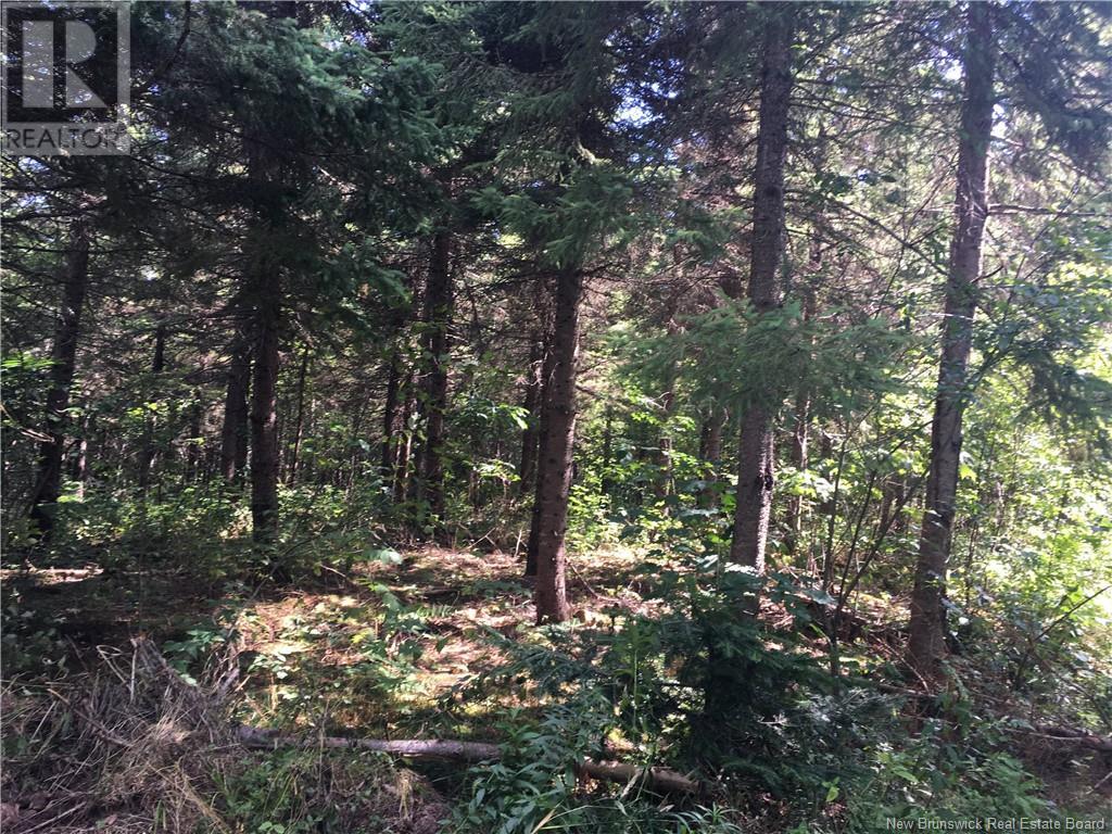 6629 Highway 15, Woodside, NB E4M 3X9