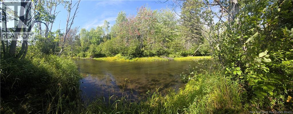 36 Acres Route 135, Duguayville, NB E8M 1K2