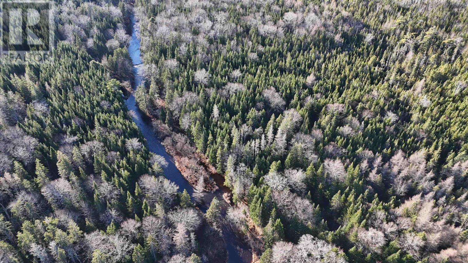 Salmon River Road, Enon, NS B1J 1X4
