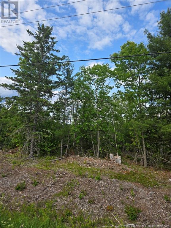 15 New Brunswick 105 #09, Jemseg, NB E4C 3K7
