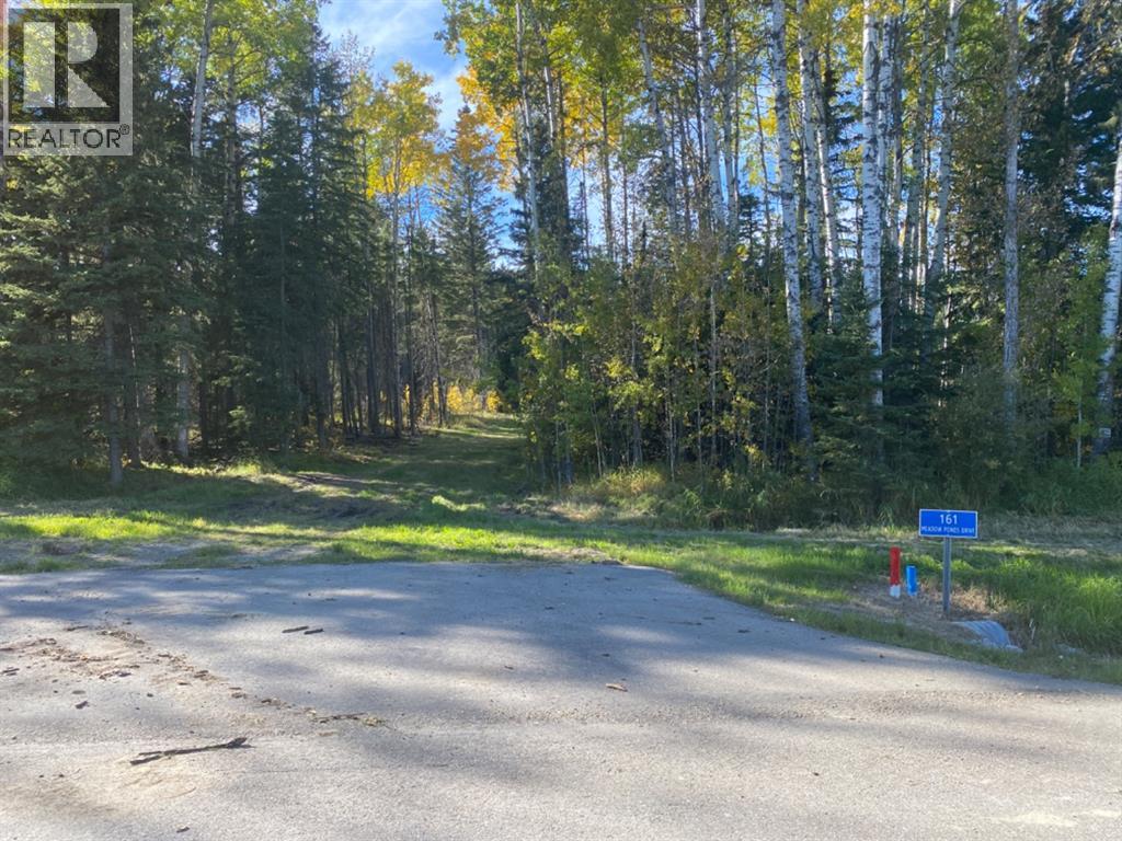 161 Meadow Ponds Dr, Rural Clearwater County, AB T4T 1A7
